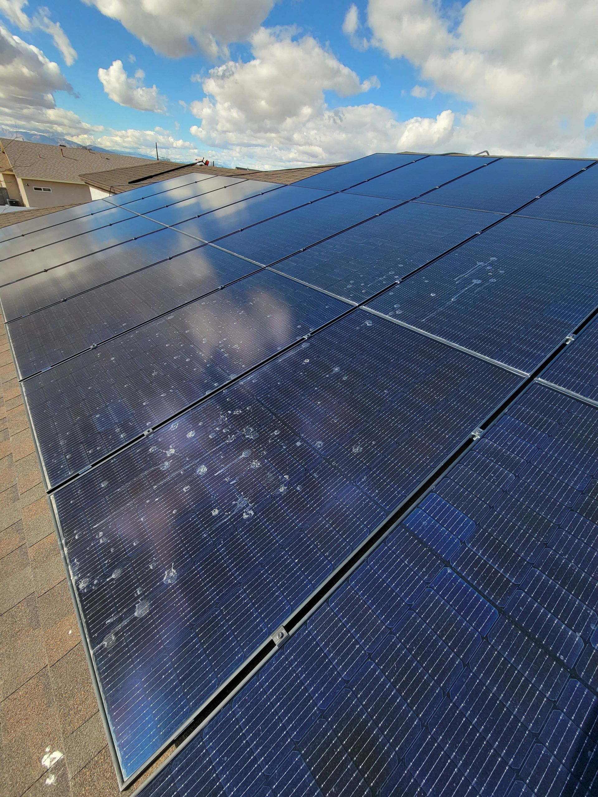 Bird-dropping buildup on rooftop solar panels
