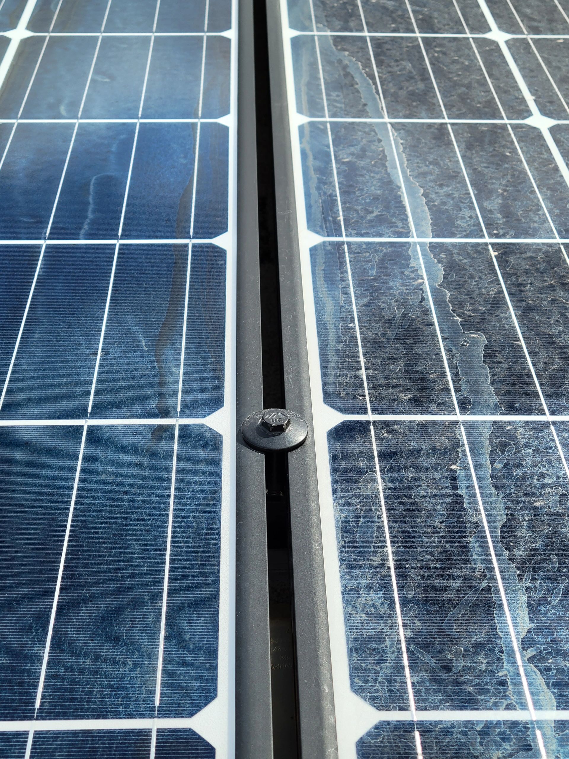 Adjacent solar panels at different stages of cleaning