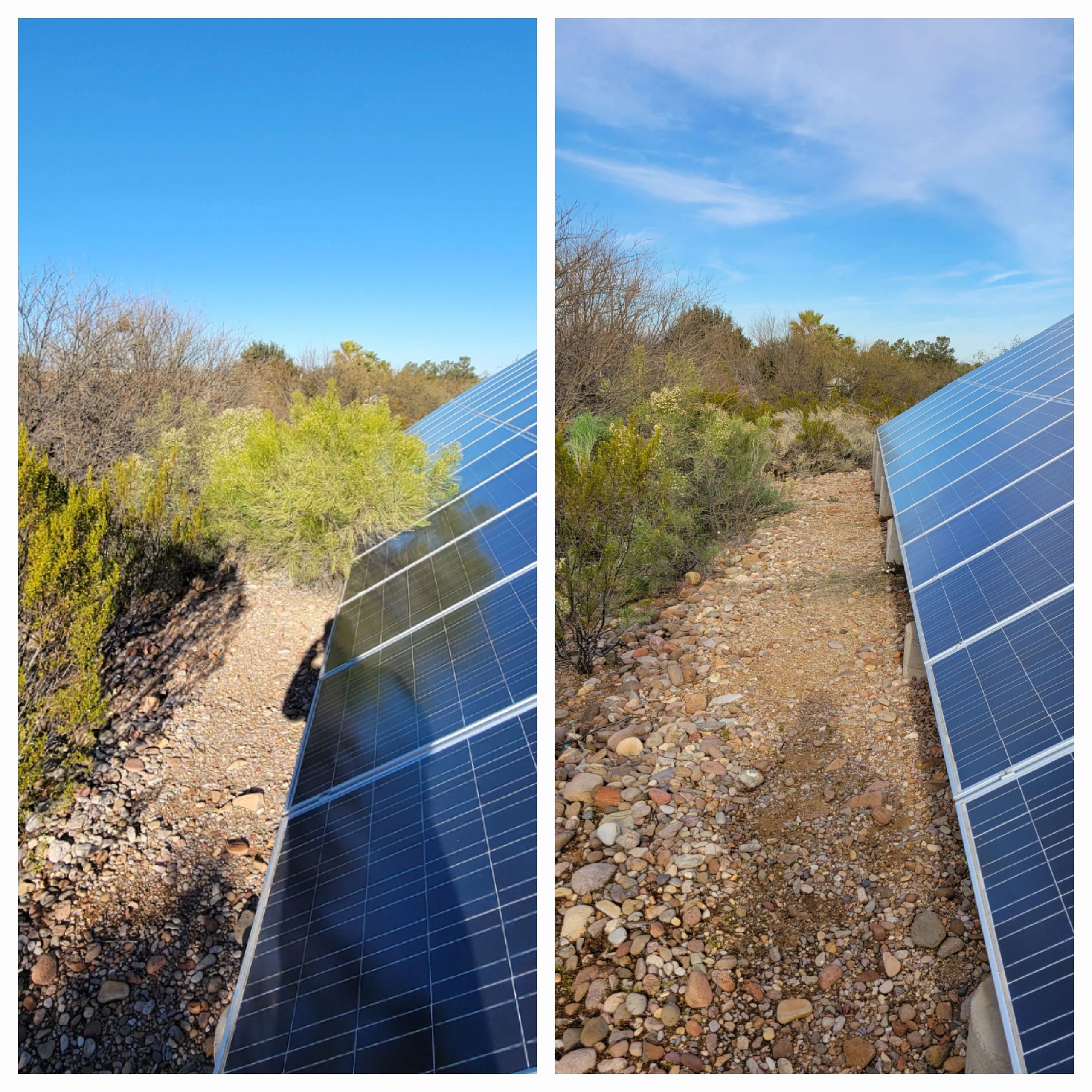 Ground-mounted solar array before and after weed and overgrowth removal