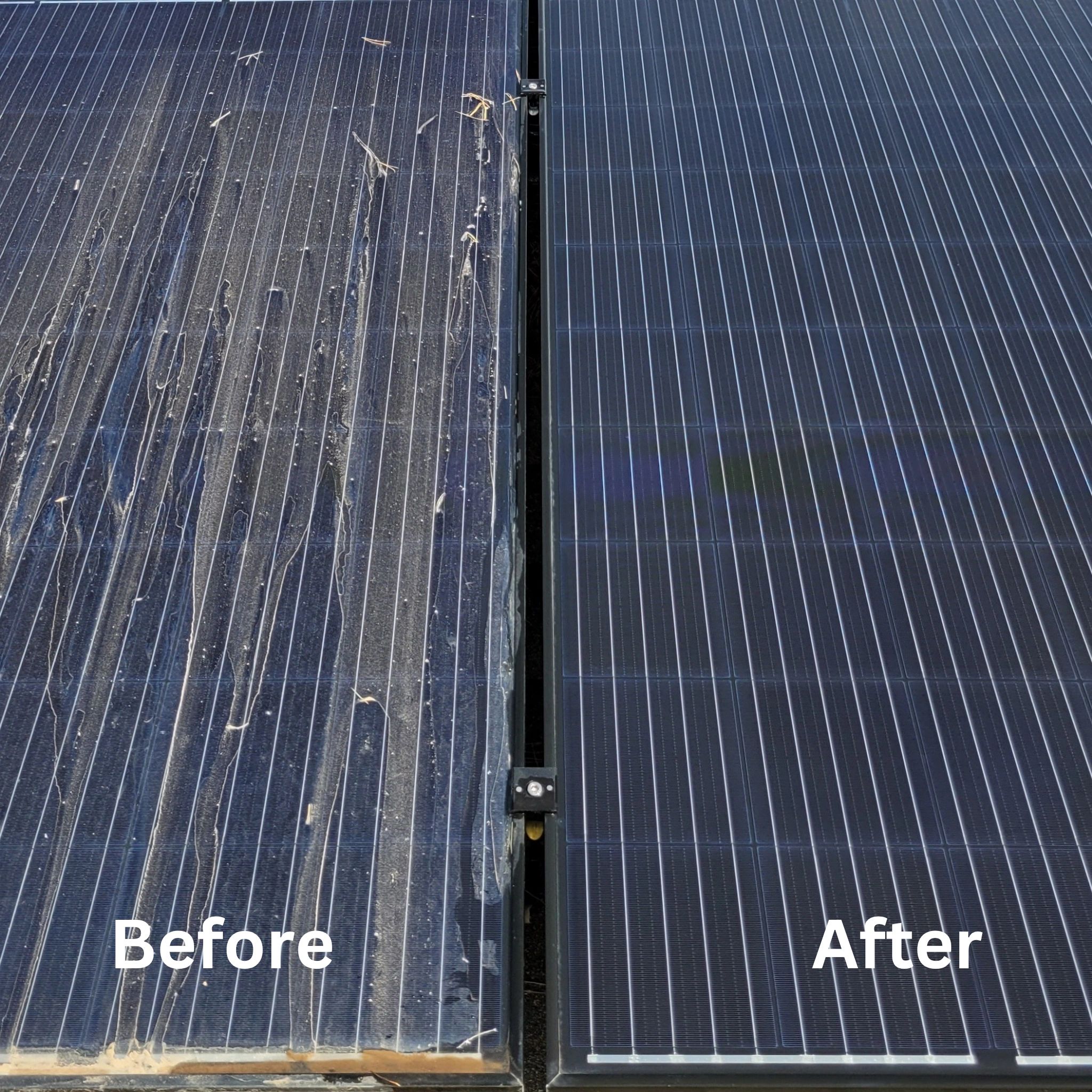 Solar panel before and after dust and sap cleaning